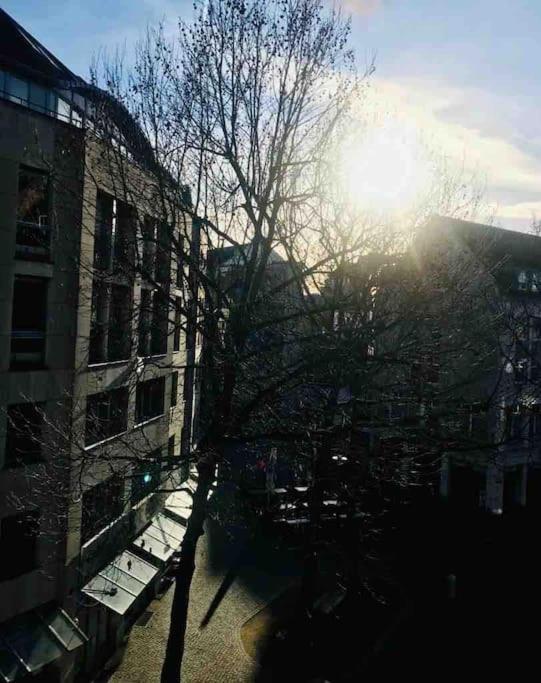 Charmantes 1Zi Apartment Im Herzen Von Braunschweig Mit Balkon מראה חיצוני תמונה